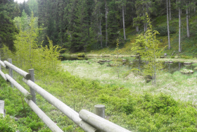 Itinéraire de randonnée : Plan Bois par le Sentier du Lac Noir