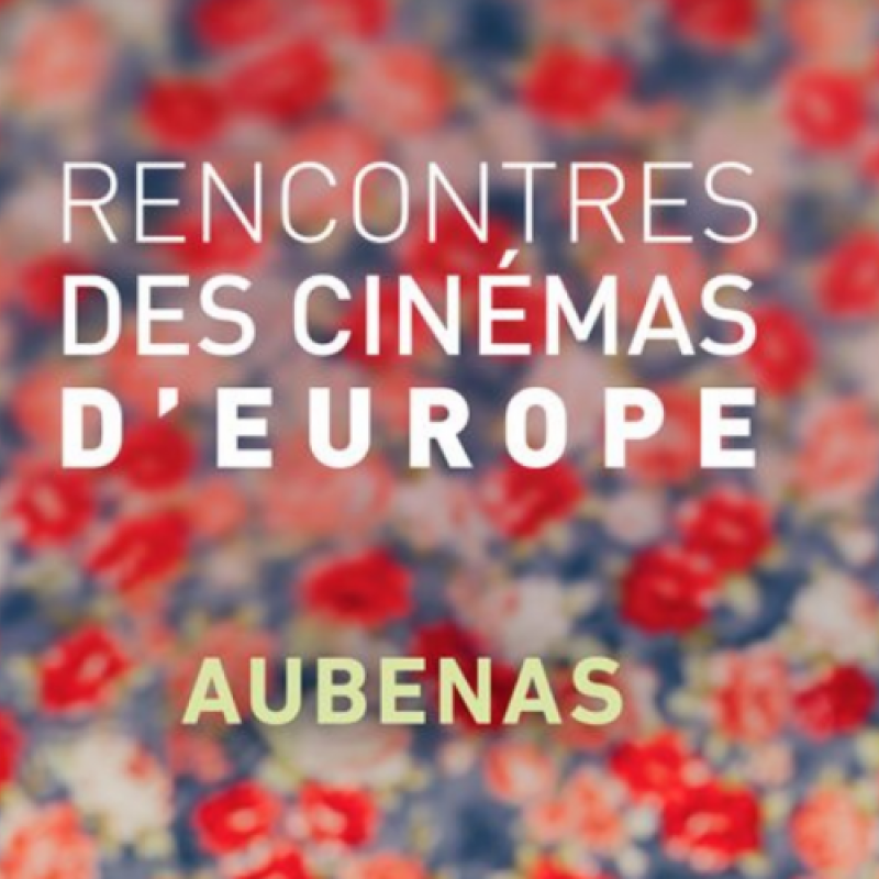 Séjour cinéphile : Les rencontres des cinémas d'Europe à Aubenas