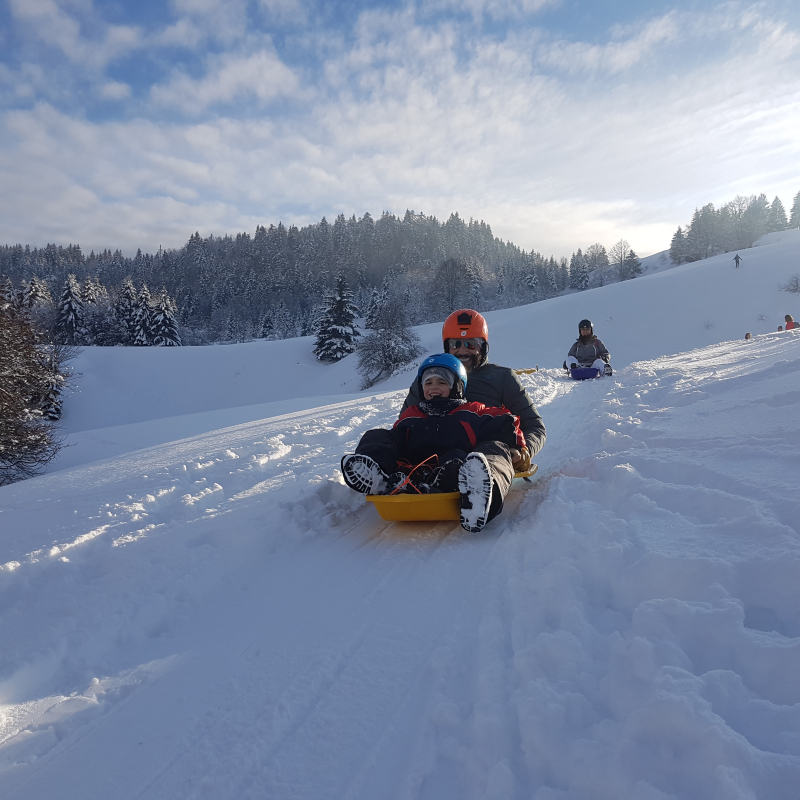 Famille descente en luge à neige dans les alpages