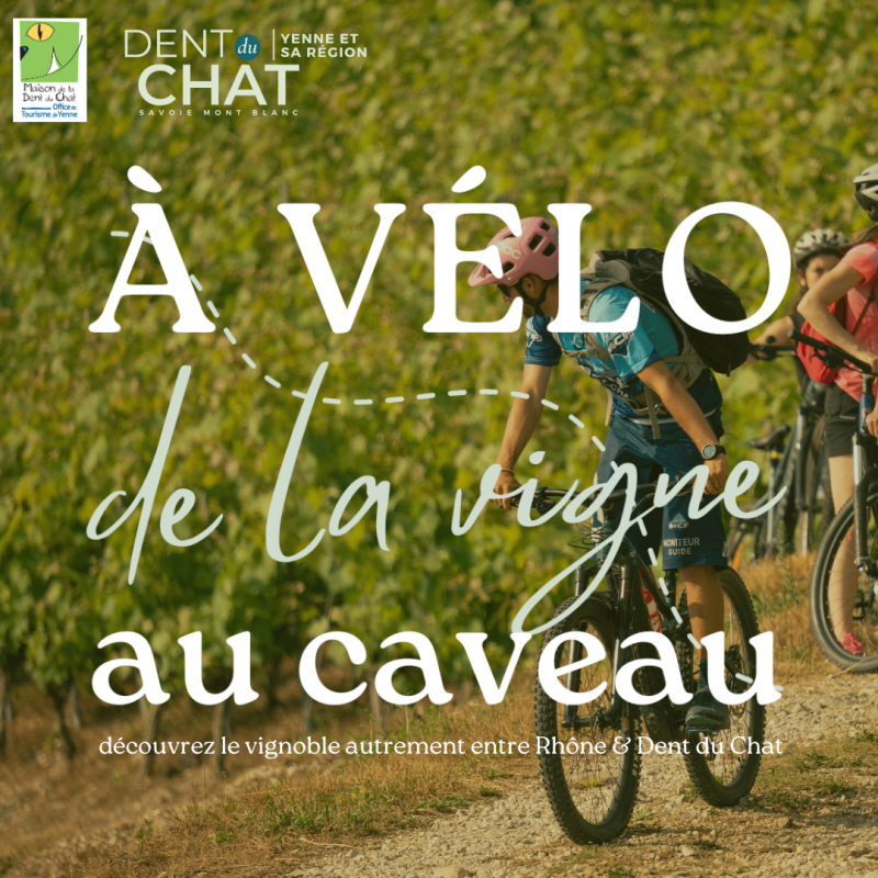 A vélo de la vigne au caveau - Nouvelle expérience à vivre entre Rhône et Dent du Chat - Office de Tourisme de Yenne