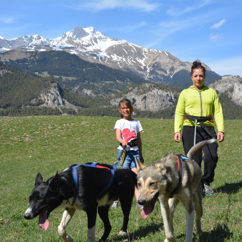 Cani-randonnée à Valloire