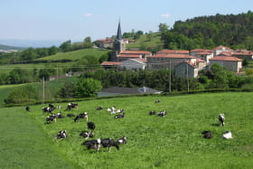 Village de Marcoux