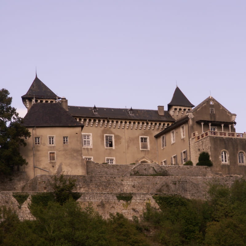 Château de Grammont - Ceyzérieu