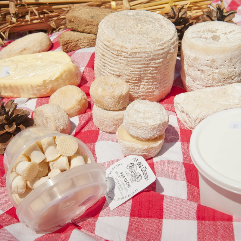 Gaec d'Orcimont L'Or des Champs