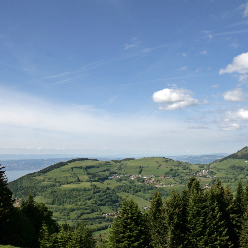 Vue sur les hauteurs de Bernex et le Mont César