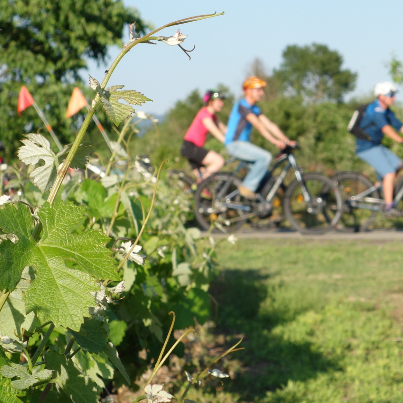 Randonnée loisir en vélo électrique Patrimoine & Terroir – Ardèche vélo