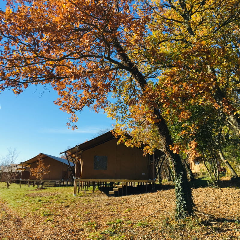 Les Lodges de Coucouzac
