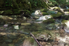 ruisseau randonnée de la cascade de Luizet