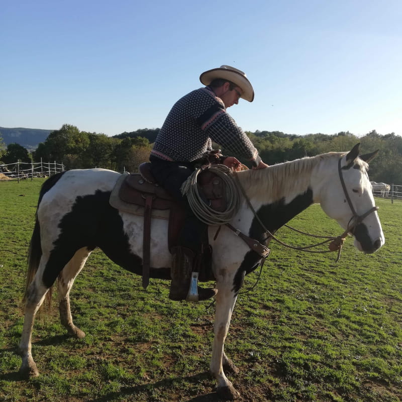 Balade équestre : cheval, poney, dos d'âne ou en carriole... chez Heartwood Familly Ranch