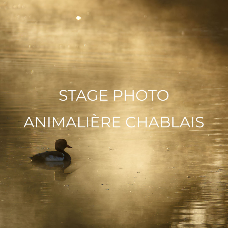 Photography training Chablais