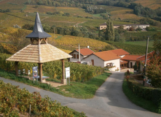 Gîte de l'Artisan-Vigneron à Fleurie (Rhône-Beaujolais)