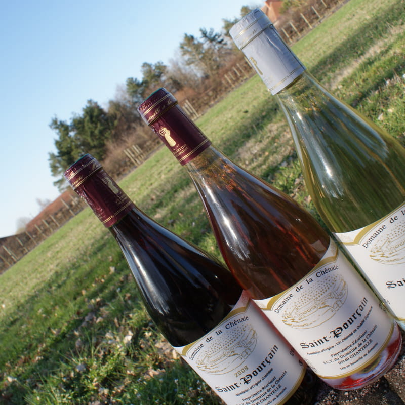 Vins