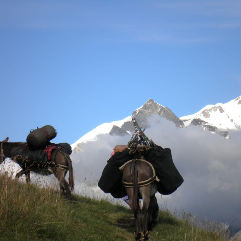 Le Tour du Mont Joly 5 jours avec un âne