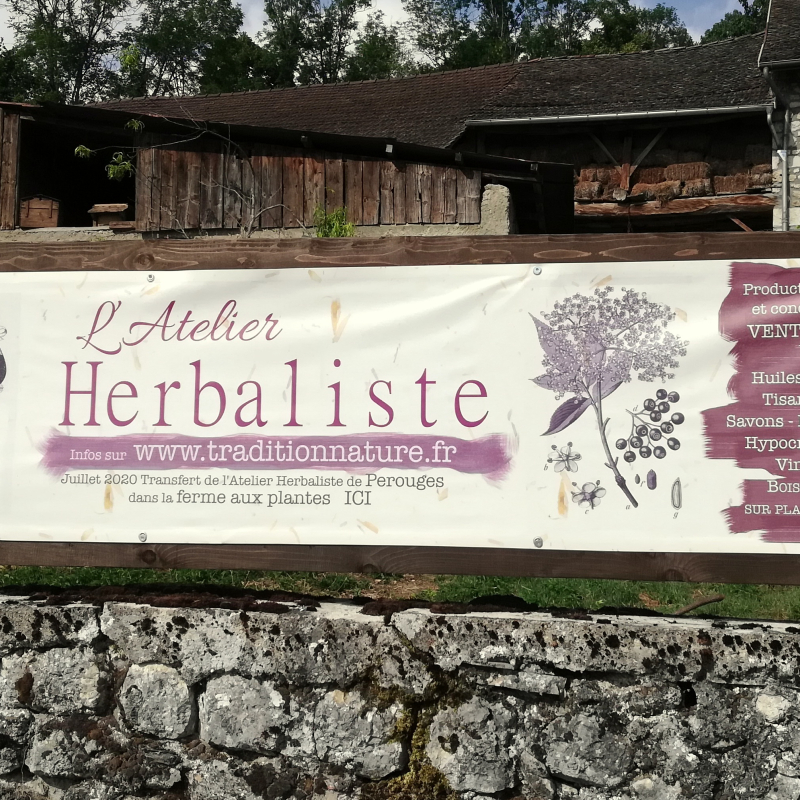 Atelier herbaliste à Marchamp