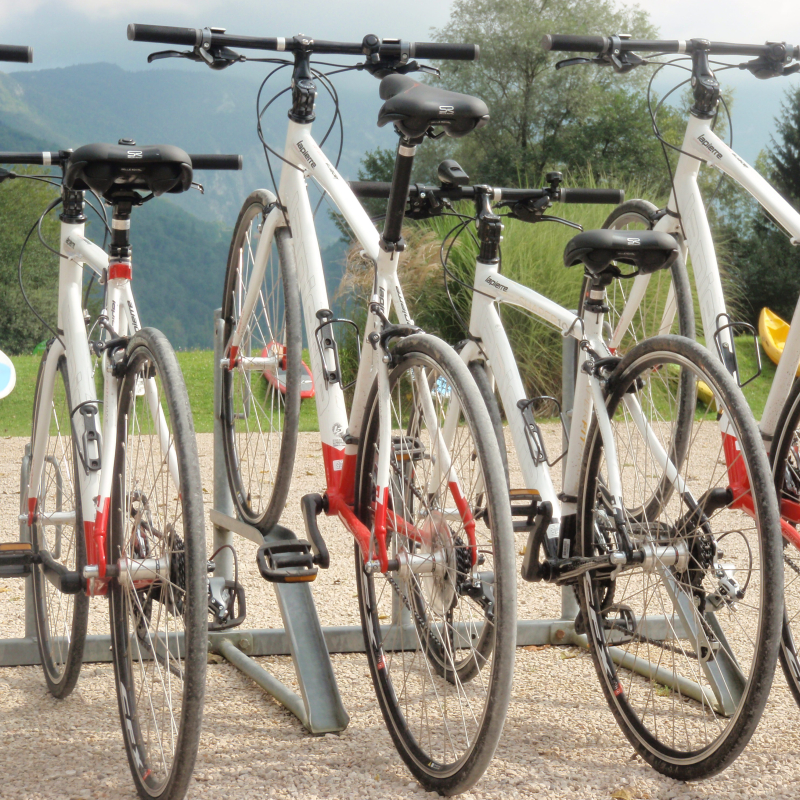 Rental of mountain bikes