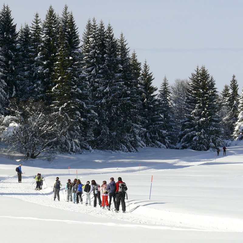 Ski de Fond, raquettes et découverte de la nature : les 4 sens de la neige en contes et légendes