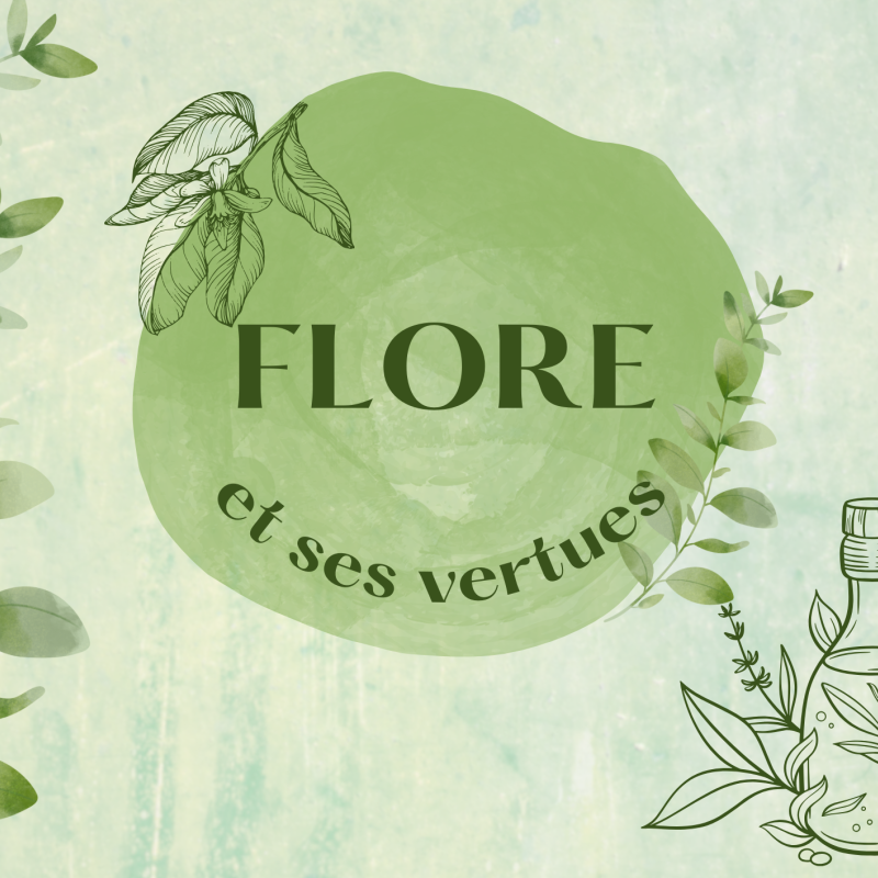 Workshop on alpine flora and its virtues.
