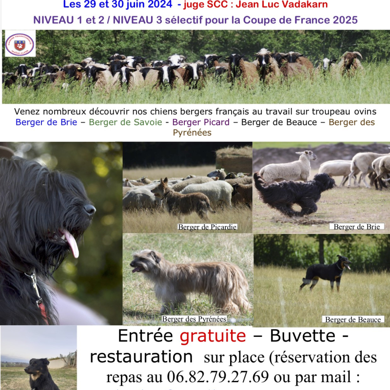 Concours troupeau continental - 1er challenge de bergers français