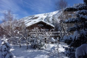 Chalet familial situé au calme face aux montagnes 300m télésiège du Diable - Deux Alpes