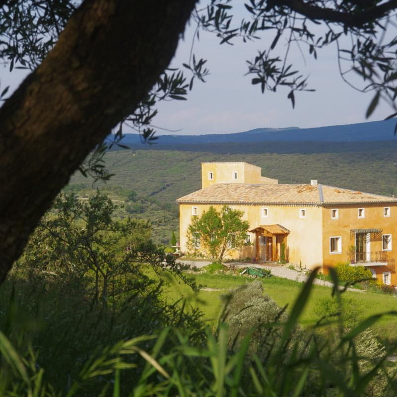 la maison d'hôte vue de l'oliveraie