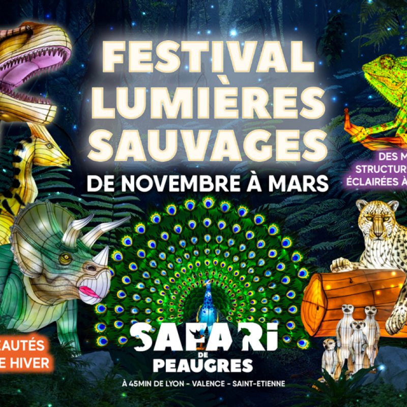 3ème Festival Lumières Sauvages