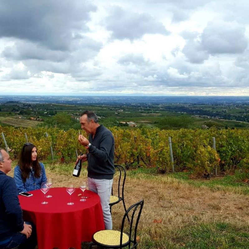 Winegrower for a day... Winegrower forever... an exploration of the Beaujolais vineyard