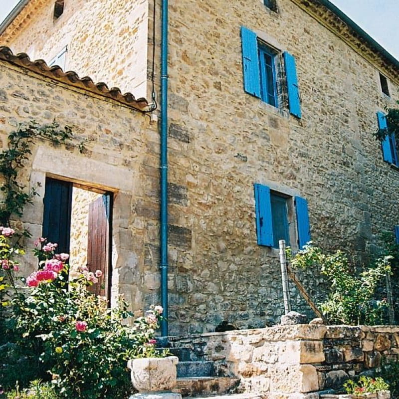 Le micocoulier