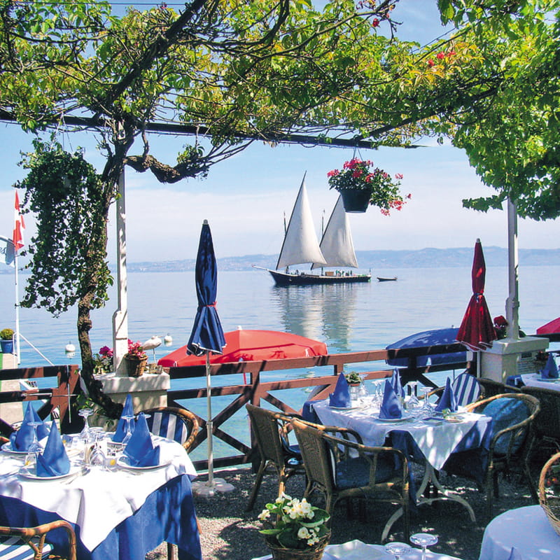 Restaurant Les Cygnes - la terrasse