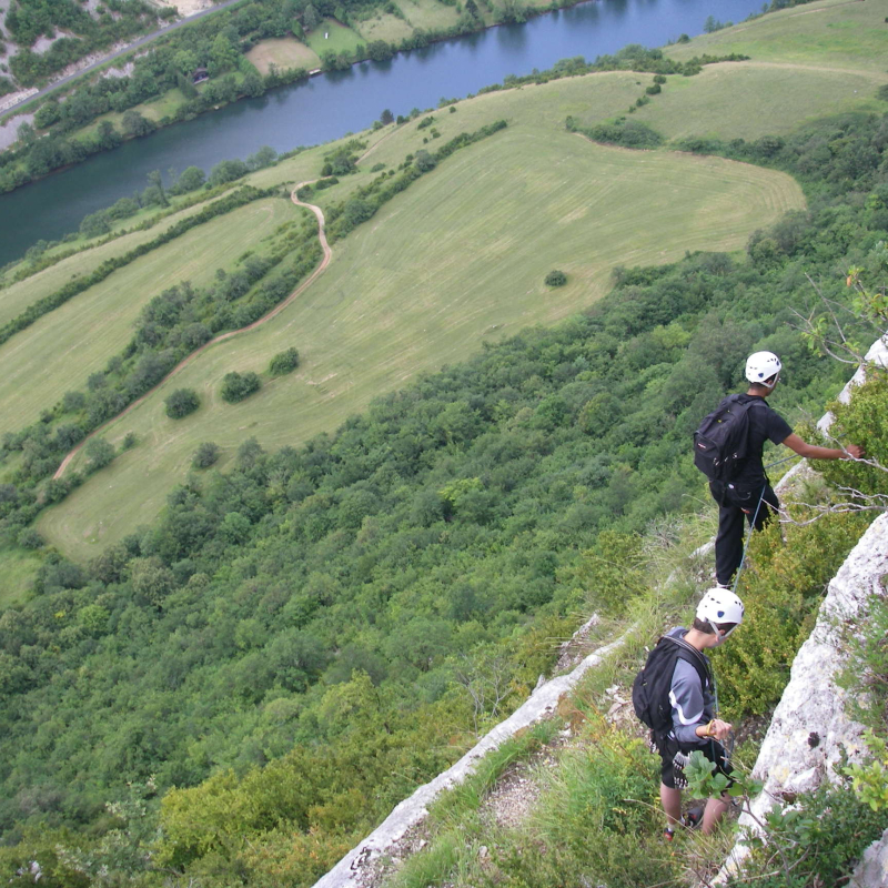 Sentier du vertige au bord de l'Ain avec Lézard des Bois