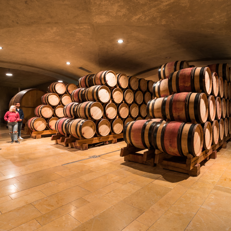 Dégustations de vins au Caveau du Château