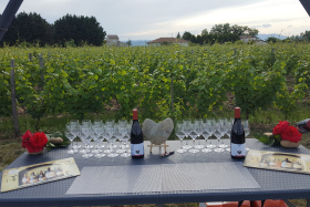 vue sur vigne et table de dégustation Domaine Lionel Brenier - Epinouze