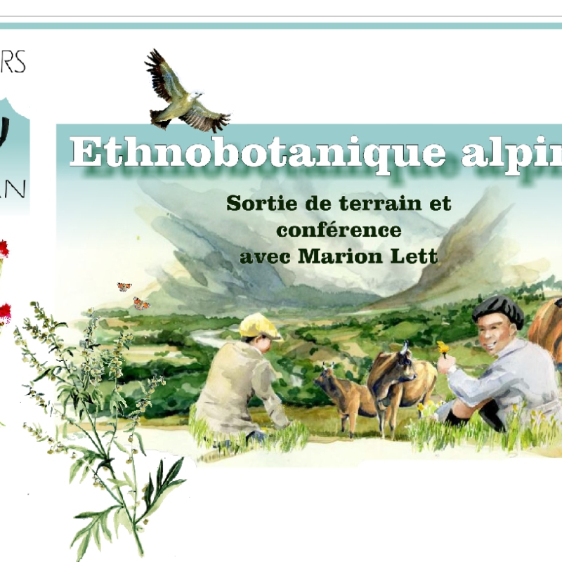 Sortie ethnobotanique Parc national de la Vanoise