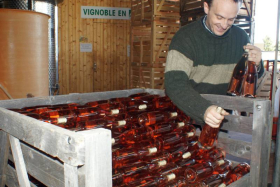 Les vins de la Madone - Gilles Bonnefoy