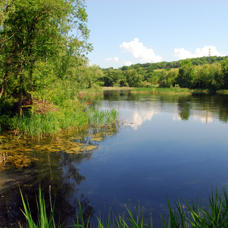 Réserve Naturelle de l’étang de Haute-Jarrie