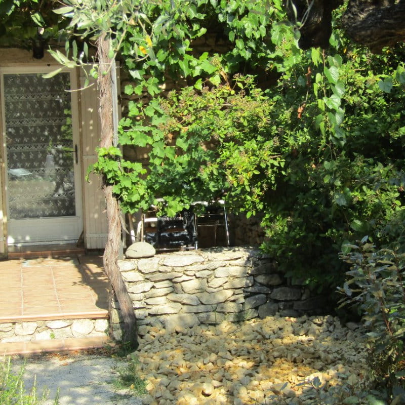 Terrasse ombragée d'une treille de vigne