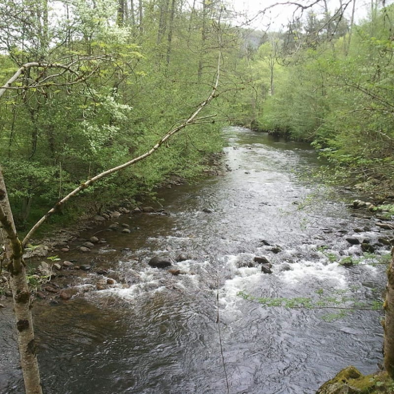 Rivière La Tarentaine