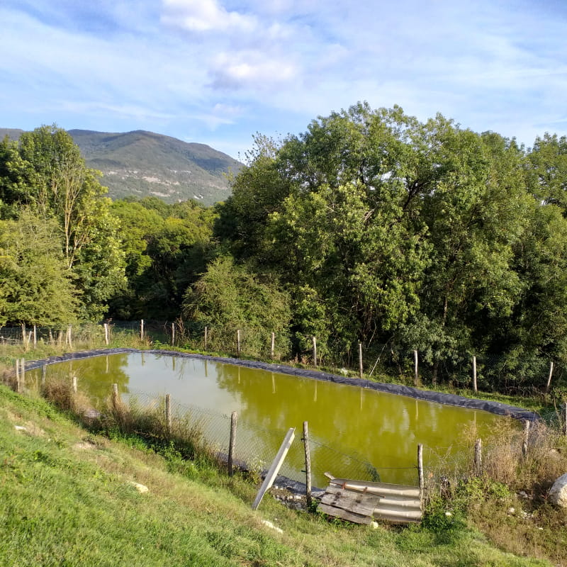 Vue de la chèvrerie du Naray