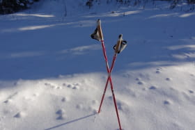 Marche nordique sur neige avec Bauges Evasion