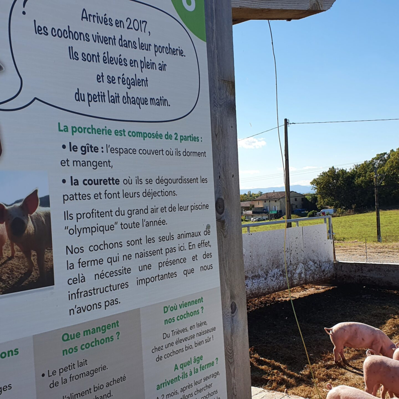 Visite guidée de la ferme 