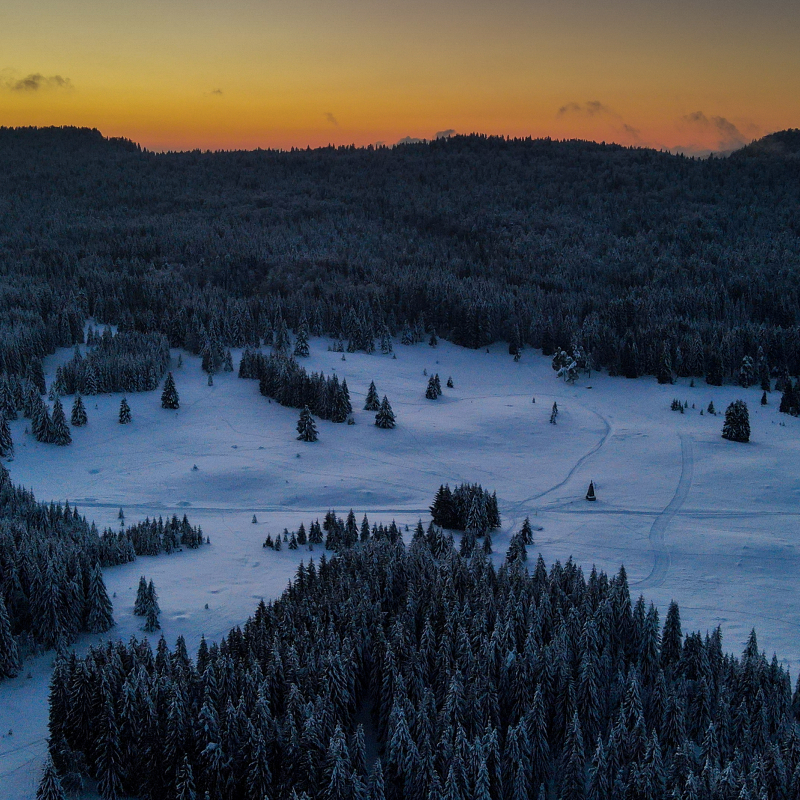 Le Pré Tardy - Piste verte de ski nordique