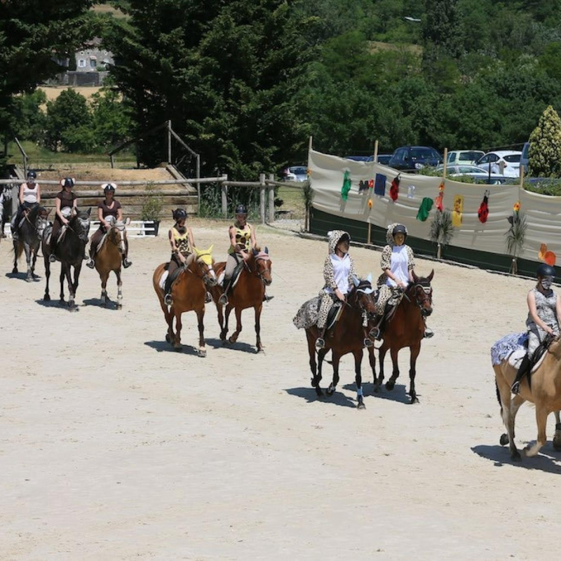 Activités équestres au Haras de Bressac