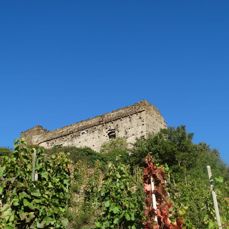 Château des Archevêques