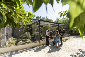 Zoo d'Upie - Le Jardin aux Oiseaux