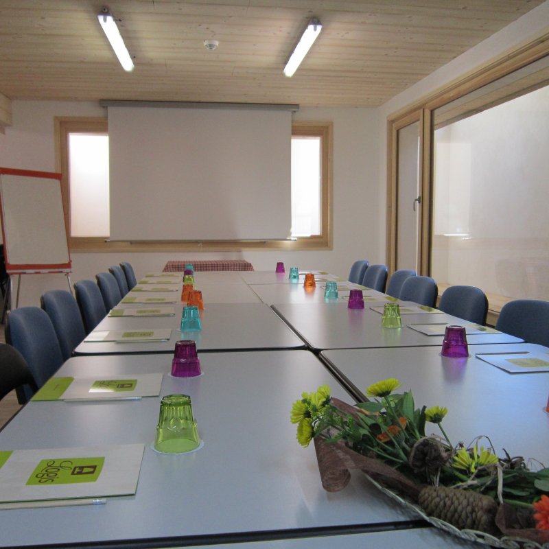 Organize your business meeting at the Gai Soleil hotel or Lodge le Grand Cerf