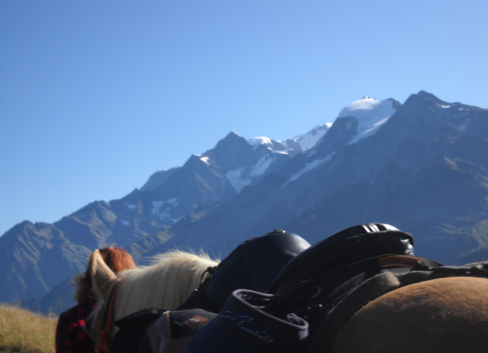 Horse riding for all levels