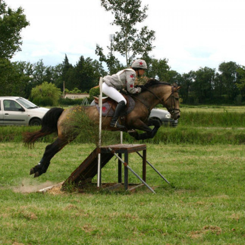 Riding centre of the Chastellus ponies