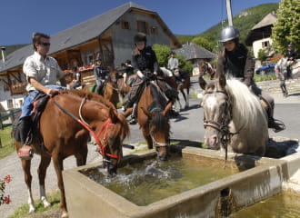 Horse riding and pony trekking