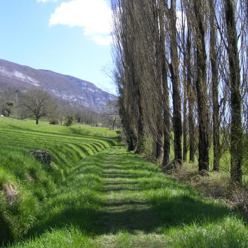 Le Chemin de Saint Jacques de Compostelle - GR 65