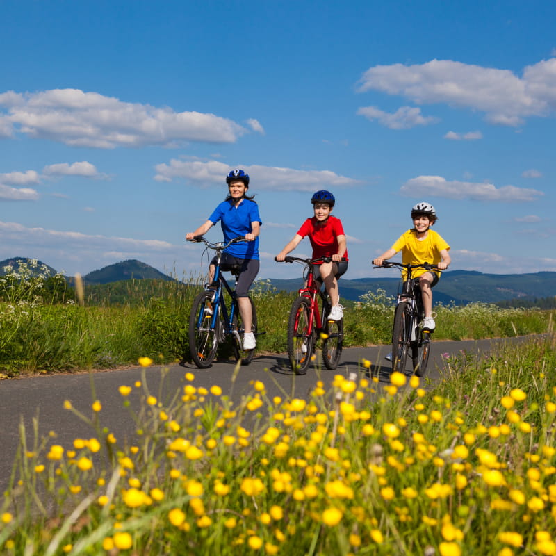 Prolynx Sports, balades en VTT - vélos électriques