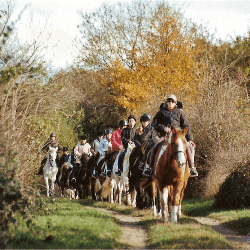 Cours d'équitation